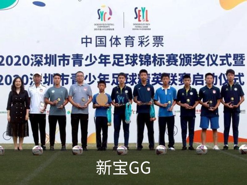 关于新宝GG