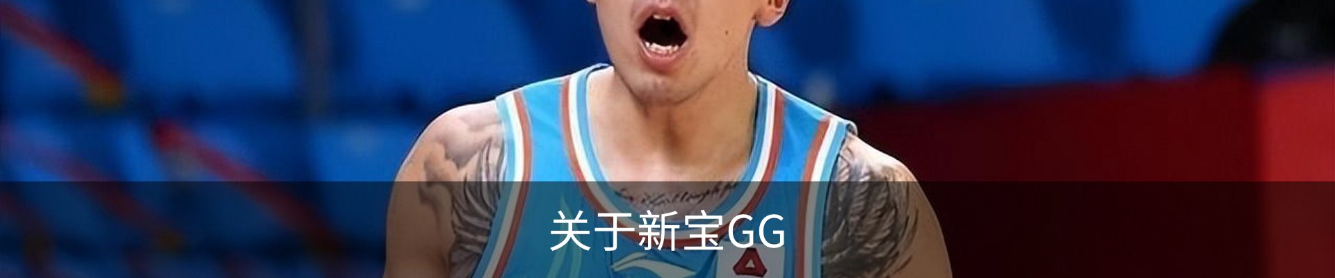 关于新宝GG